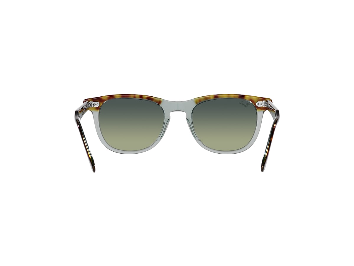 EAGLE EYE Sunglasses in Havana On Transparent Green and Green