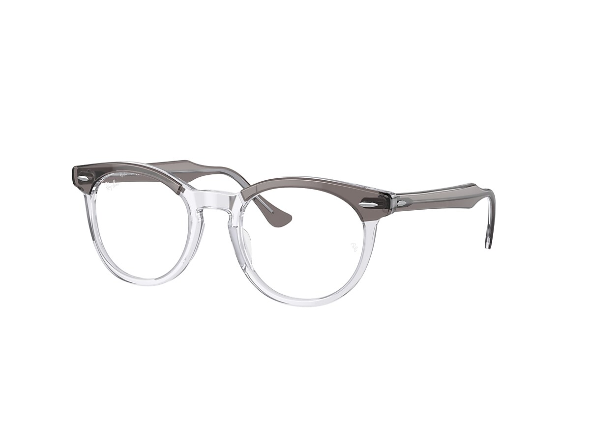 EAGLE EYE OPTICS Eyeglasses with Grey On Transparent Frame