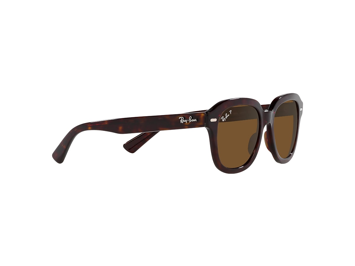 ERIK Sunglasses in Havana and Brown - RB4398 | Ray-Ban® EU