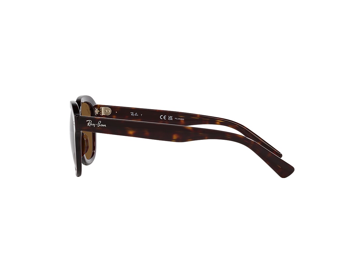 ERIK Sunglasses in Havana and Brown - RB4398 | Ray-Ban® CA