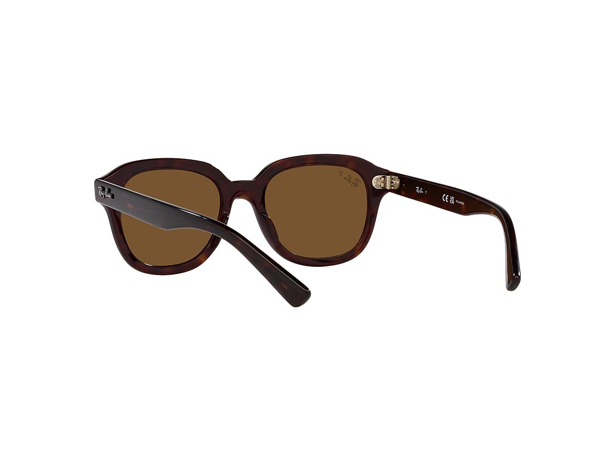 ERIK Sunglasses in Havana and Brown - RB4398 | Ray-Ban® CA