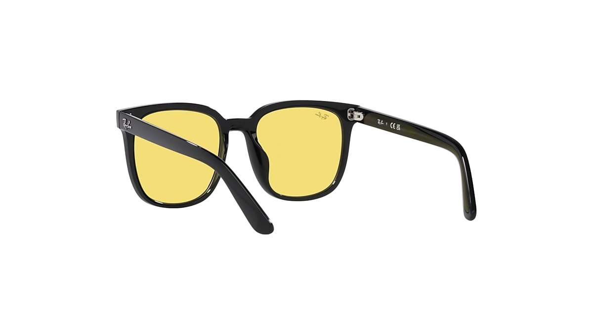 レイバン公式ストア】 Ray-Ban® RB4401D WASHED LENSES サングラス 