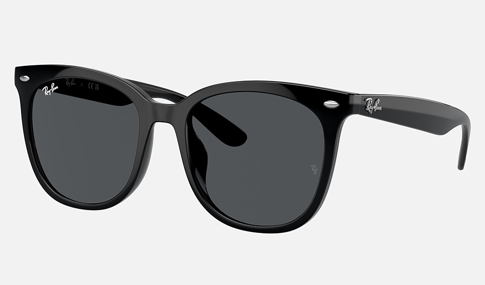 Ray-Ban RB 4379D グレーブラックサングラス ケース付き レイバン公式ストア】 Ray-Ban® RB4379D サングラス