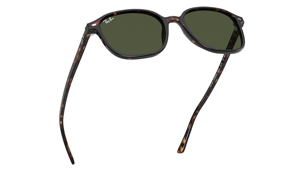 LEONARD Sunglasses in Tortoise and Green - RB2193 | Ray-Ban 