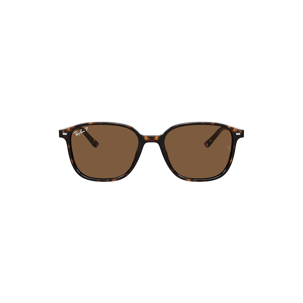 LEONARD Sunglasses in Tortoise and Brown - RB2193 | Ray-Ban® US
