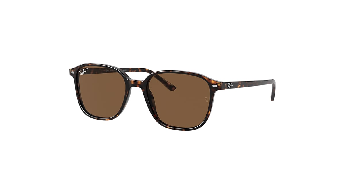 LEONARD Sunglasses in Tortoise and Brown - RB2193 | Ray-Ban® US