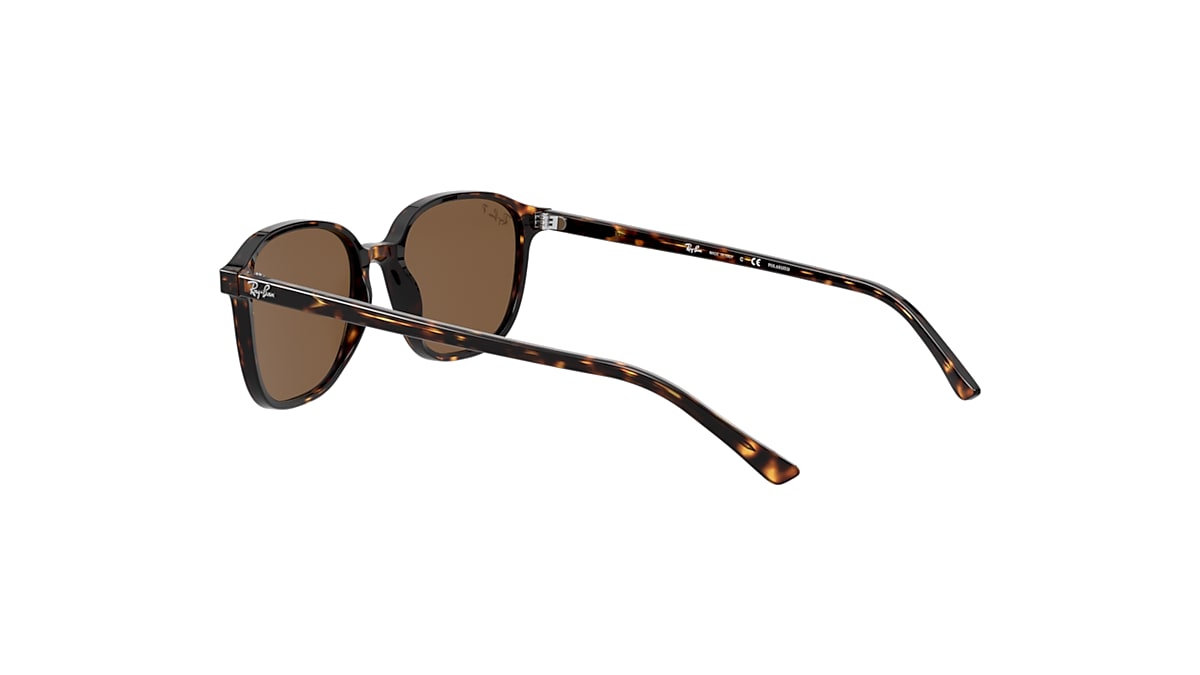 LEONARD Sunglasses in Tortoise and B-15 Brown - RB2193 | Ray