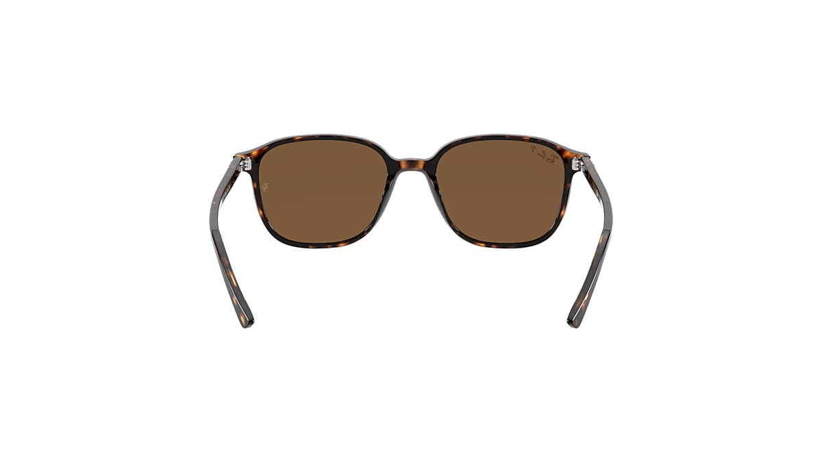 LEONARD Sunglasses in Tortoise and B-15 Brown - RB2193 | Ray LEONARD Sunglasses in Tortoise and B-15 Brown - RB2193 | Ray