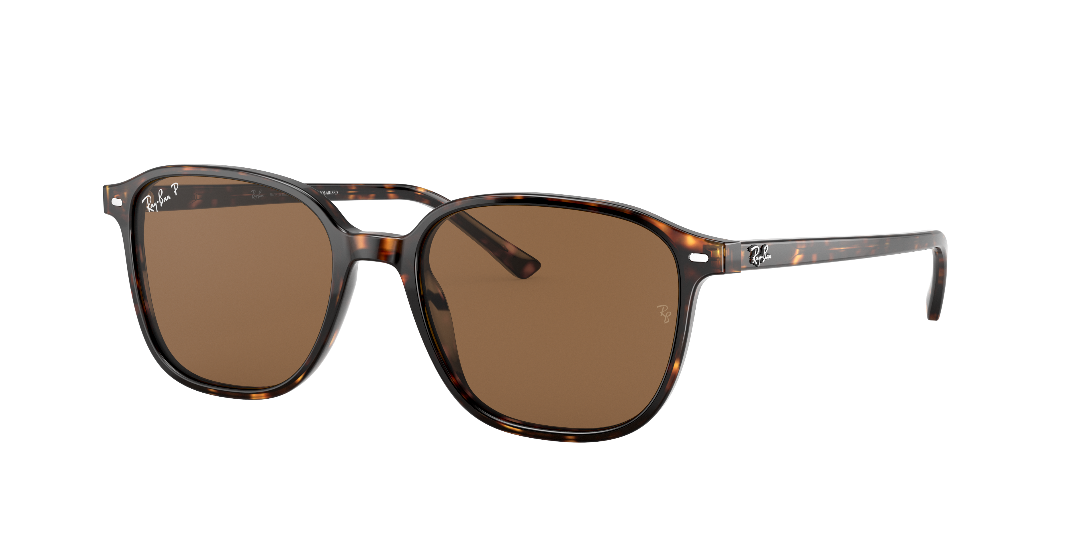 Leonard Sunglasses in Tortoise and Brown | Ray-Ban®