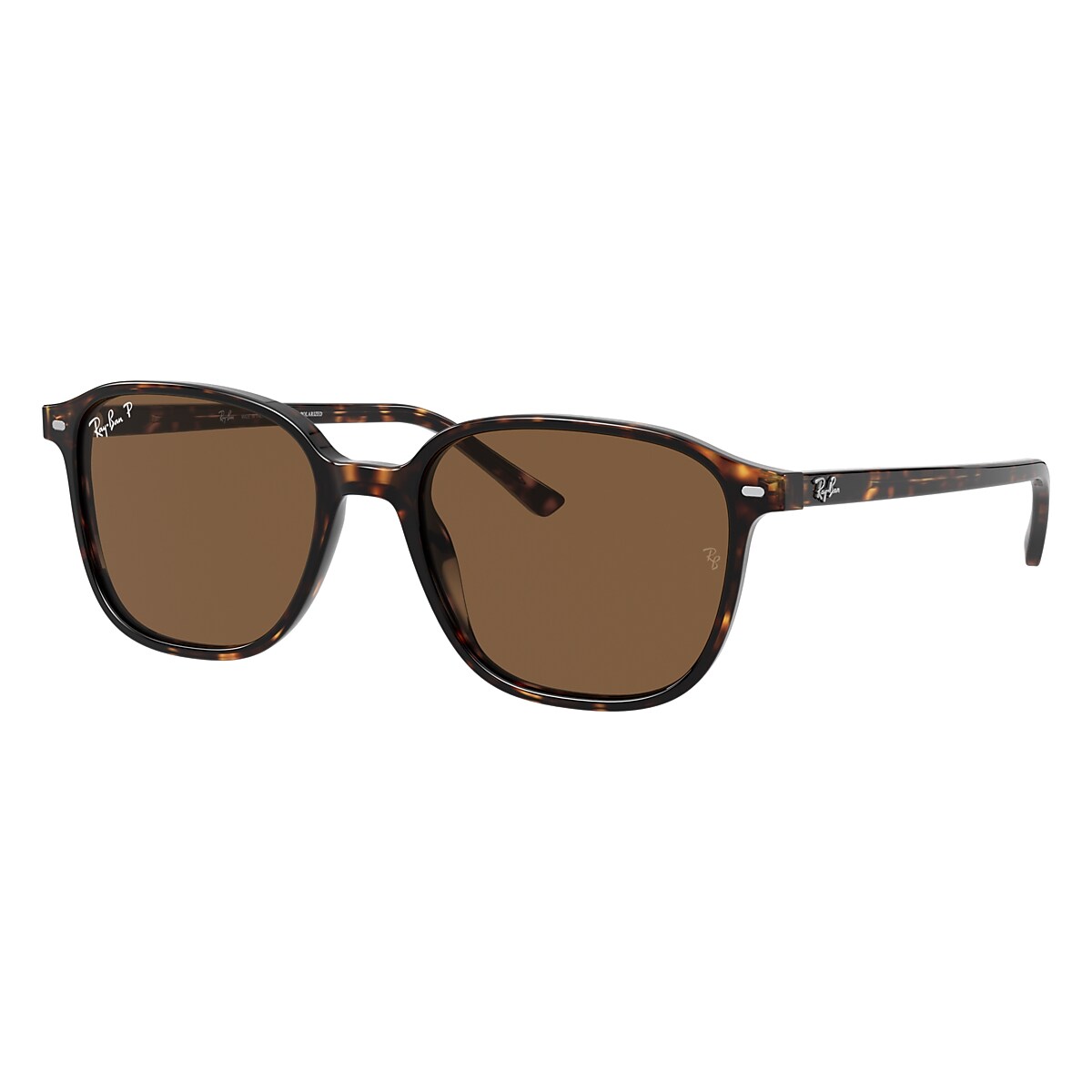 LEONARD Sunglasses in Tortoise and B-15 Brown - RB2193 | Ray
