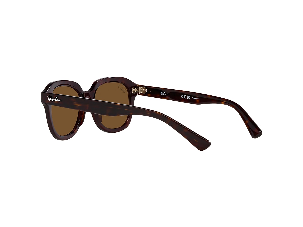 ERIK Sunglasses in Havana and Brown - RB4398F | Ray-Ban® US