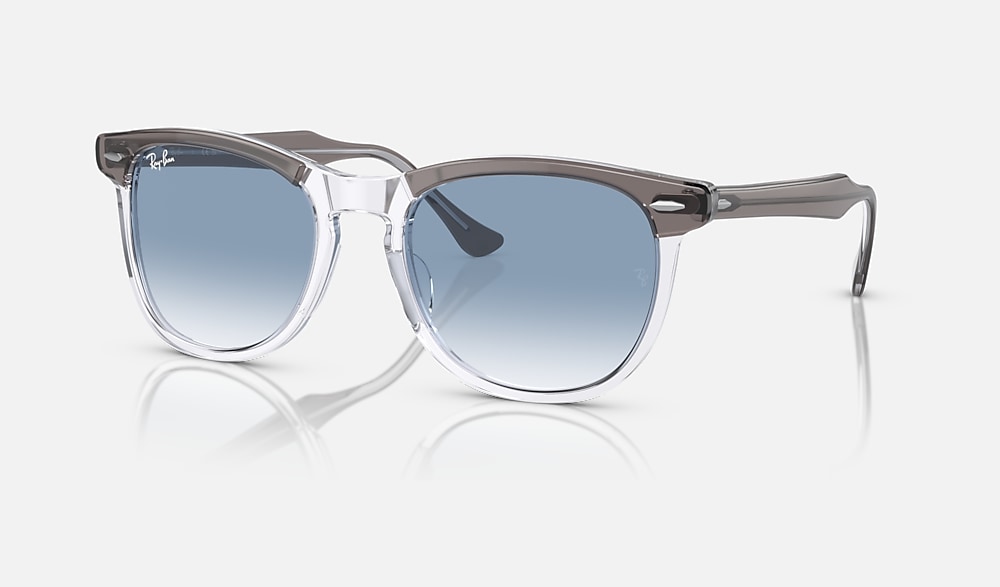 Clear frame 2024 wayfarer sunglasses