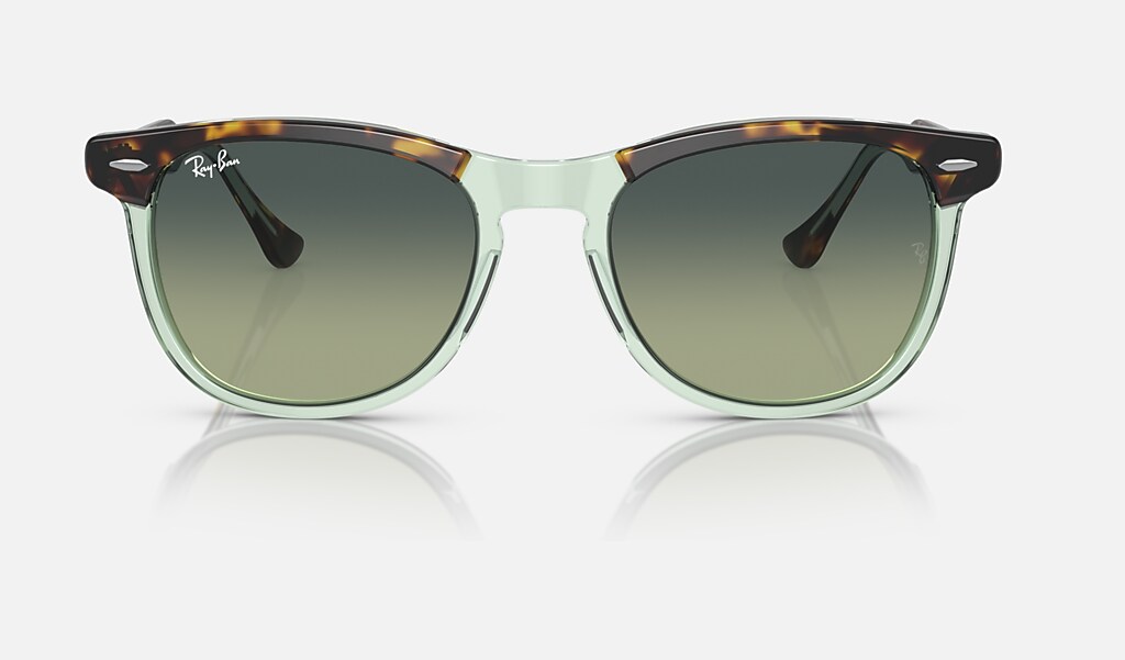 Eagle Eye Sunglasses in Havana On Transparent Green and Green | Ray-Ban®