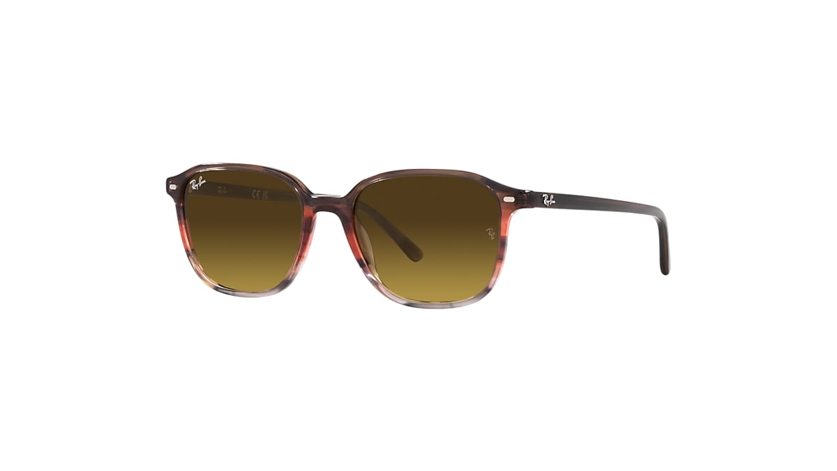 LEONARD Sunglasses in Striped Brown Red and Brown RB2193 Ray