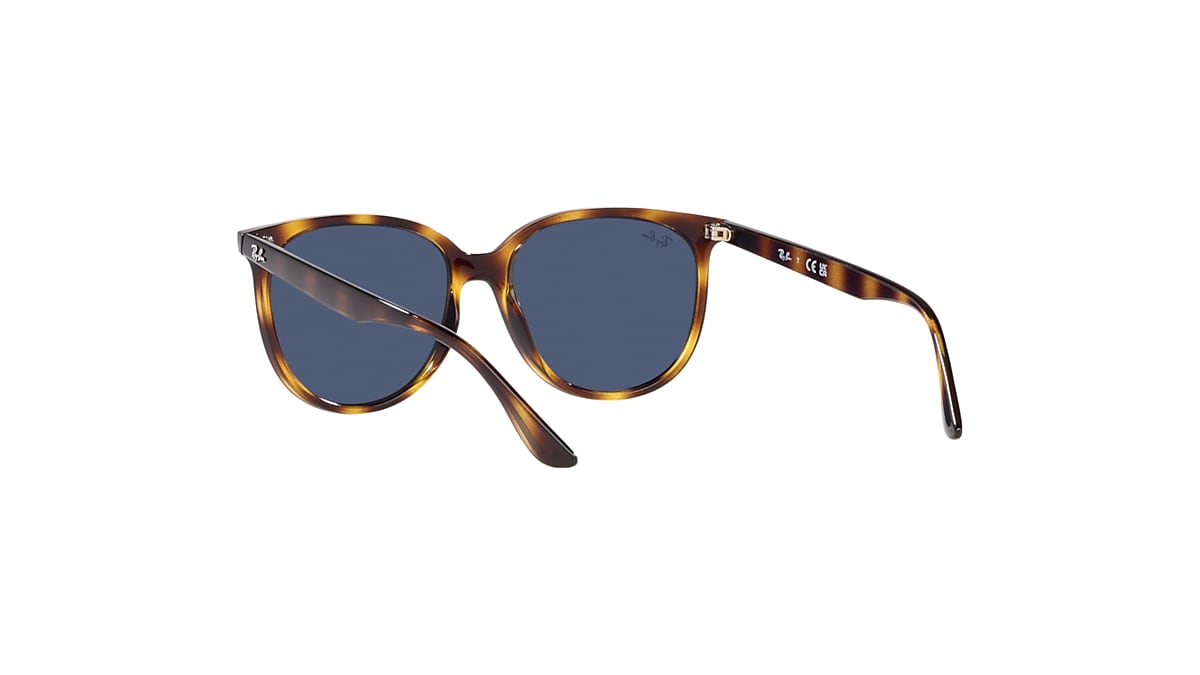 RB4378 Sunglasses in Havana and Dark Blue RB4378 Ray Ban US