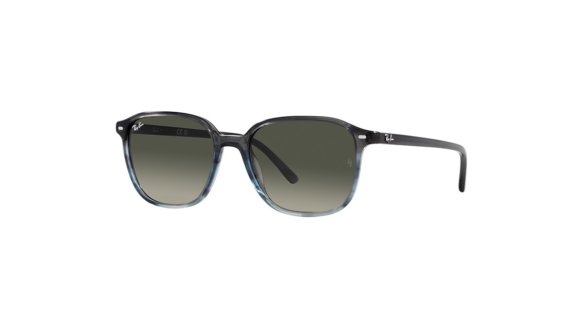 【レイバン公式ストア】 Ray-Ban® LEONARD サングラス - RB2193F