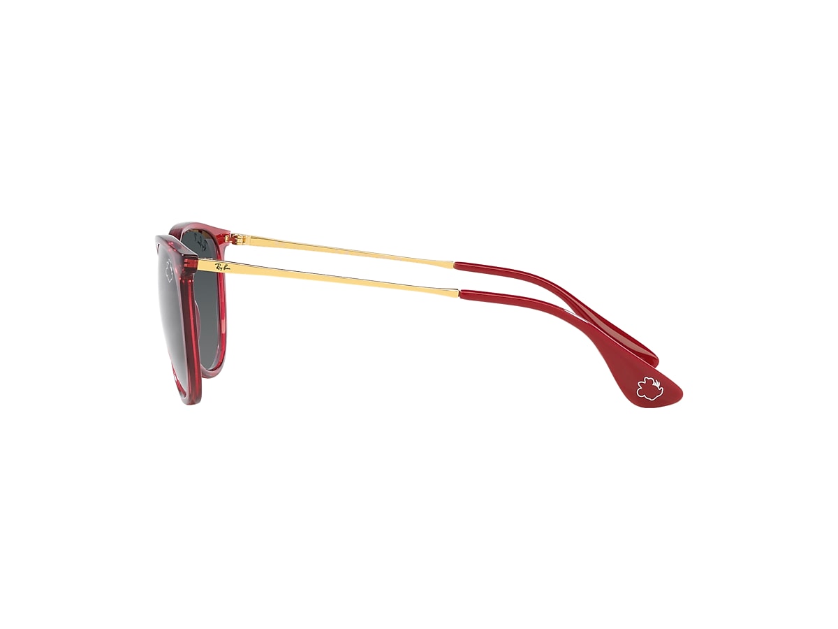 RB4171 ERIKA DISNEY'S MINNIE MOUSE Sunglasses in Transparent