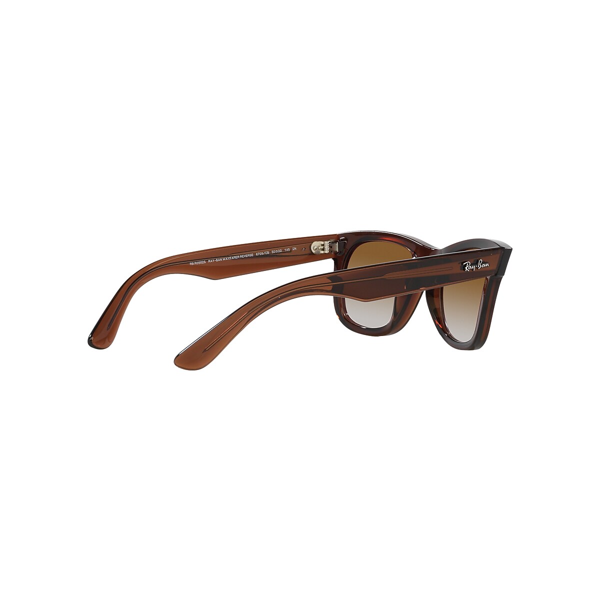 WAYFARER REVERSE Sunglasses in Transparent Brown and Brown - RBR0502S