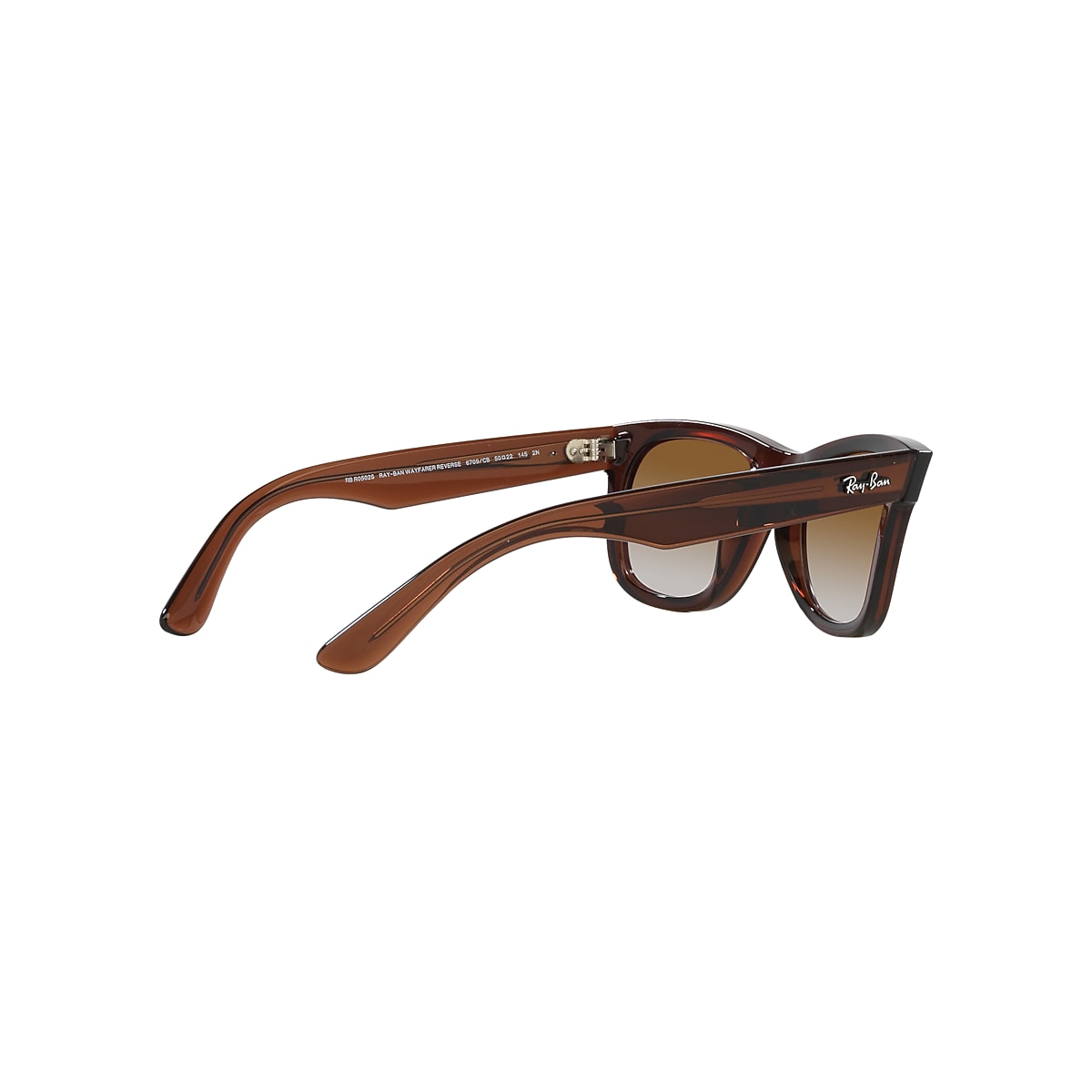 WAYFARER REVERSE Sunglasses in Transparent Brown and Brown