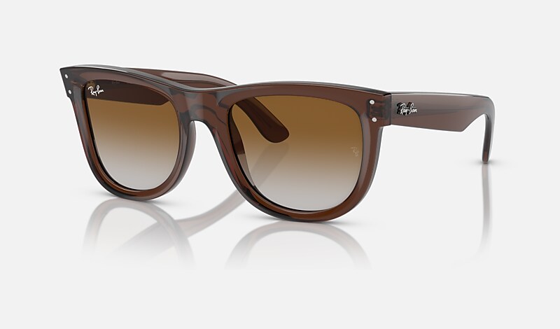 WAYFARER REVERSE Sunglasses in Transparent Brown and Brown