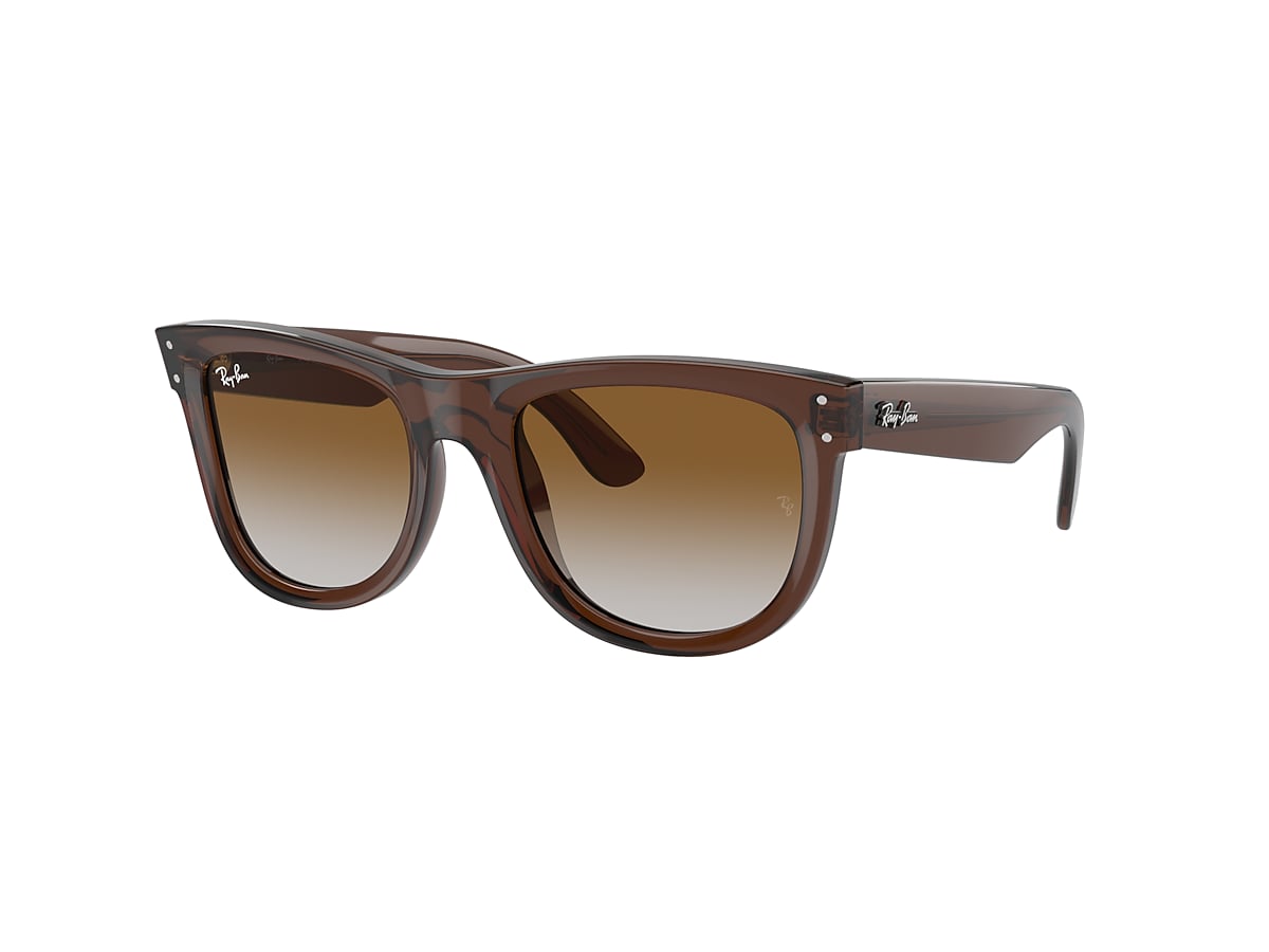 WAYFARER REVERSE Sunglasses in Transparent Brown and Brown