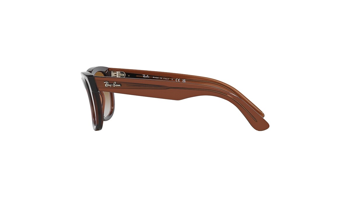 Ray-Ban Wayfarer Reverse サングラス WAYFARER REVERSE Sunglasses in Black and Dark Green