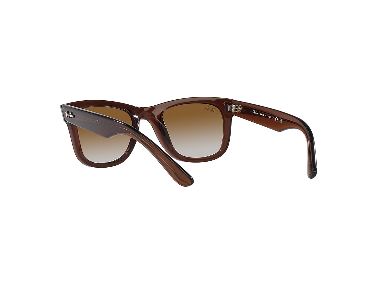 WAYFARER REVERSE Sunglasses in Transparent Brown and 
