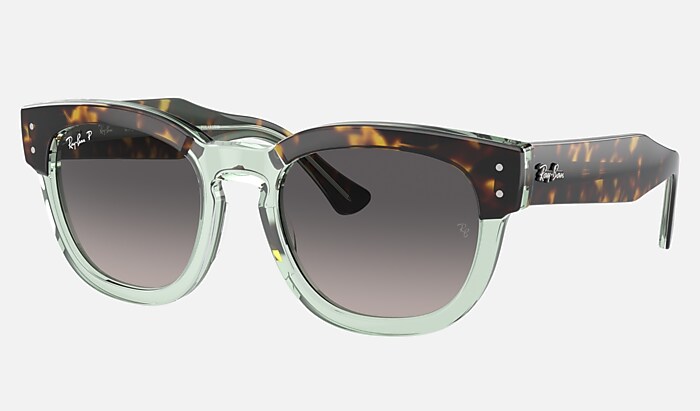 Polarized Sunglasses - Ray-Ban P | Ray-Ban® USA