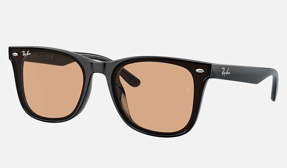 Black Sunglasses in Brown and RB4391D WASHED LENSES 